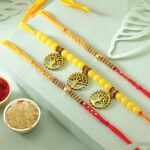 Radiant Rakhi Moments